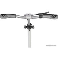 Двухколесный подростковый самокат Tech Team Sport 230R 2020 (белый/черный)