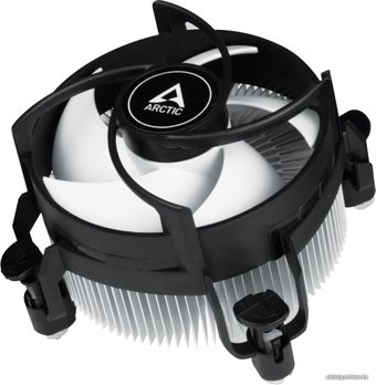Arctic Alpine 17 ACALP00040A