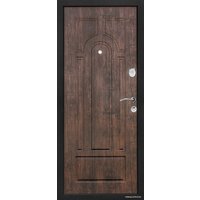 Металлическая дверь Титан Триумф