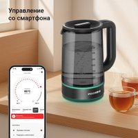 Электрический чайник Redmond (Редмонд) KG259S (черный/тонировка) в Лиде