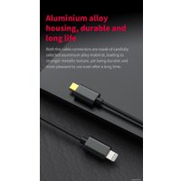 Кабель FiiO LT-LT4 USB Type-C - Lightning