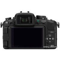 Беззеркальный фотоаппарат Panasonic Lumix DMC-G1