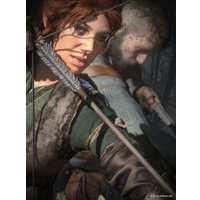Компьютерная игра PC Rise of the Tomb Raider