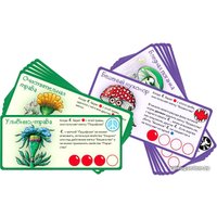 Настольная игра Правильные игры Эволюция. Трава и грибы