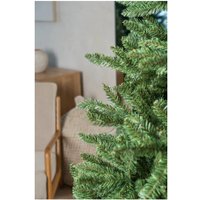 Ель Royal Christmas Washington Promo 98180 1.8 м