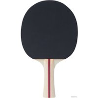 Ракетка для настольного тенниса TORNEO Hobby TI-B200