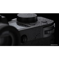 Беззеркальный фотоаппарат Leica SL2 Body