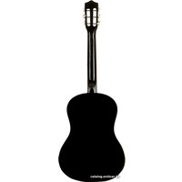 Акустическая гитара Belucci BC3825 BK