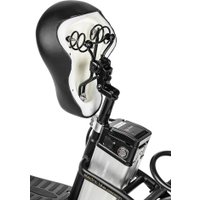 Электровелосипед MyWay Truck 1.0 350 20 (15, черный)