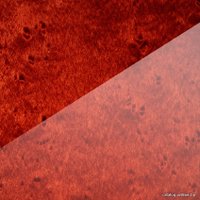 Полочная акустика Dynaudio Confidence С1 Platinum