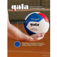 Волейбольный мяч Gala Pro-Line 12 BV 5595 SA (размер 5, белый/красный/голубой)