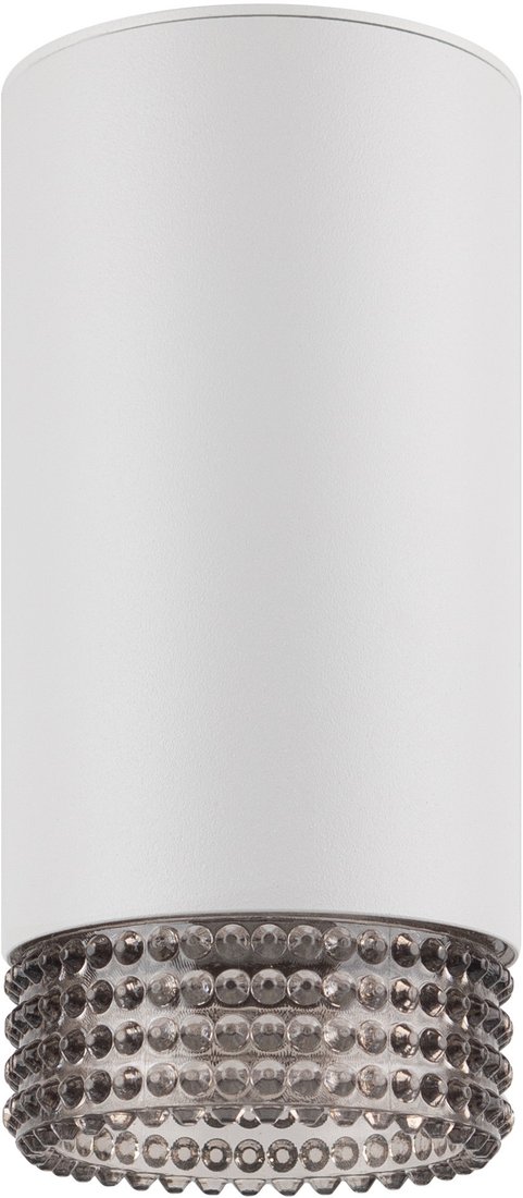 

Спот ЭРА OL40 WH/GR Б0058478