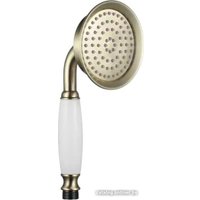 Душевая лейка Esko SSP950Br