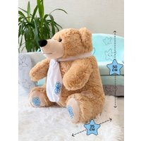 Классическая игрушка Sun&Rain Медведь Умка 50см (темный латте)