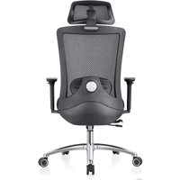 Офисное кресло Evolution ERGO Prime Black (черный)