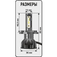 Светодиодная лампа Xenite 1009688 (2шт) в Гродно