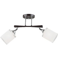 Припотолочная люстра Aitin Pro НПБ 02-2x60-101 N5959/2 (кофе/хром)