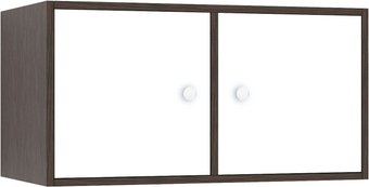 Шкаф распашной MFMaster Прайм-21-1 (венге/белый)