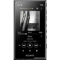 Hi-Fi плеер Sony Walkman NW-A105 (черный)
