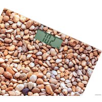 Напольные весы Sencor SBS 2302SN