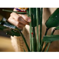 Конструктор LEGO Creator Expert 10289 Райская птица