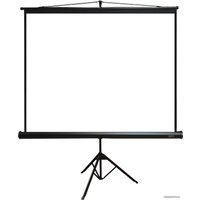 Проекционный экран PL Magna TRM-NTSC-120D