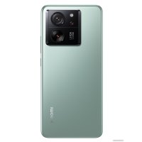 Телефон Xiaomi 13T Pro 12GB/512GB международная версия (зеленый луг)
