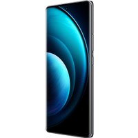 Смартфон Vivo X100 16GB/512GB международная версия (черный астероид)