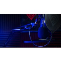 Проводной микрофон Genesis Radium 300 XLR