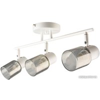 Светильник Mirastyle BL-14854/3 BK+CR