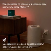 Умная розетка Яндекс YNDX-00540BLK (черный) в Солигорске