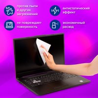 Влажные салфетки BRAUBERG 510122 (100 шт)