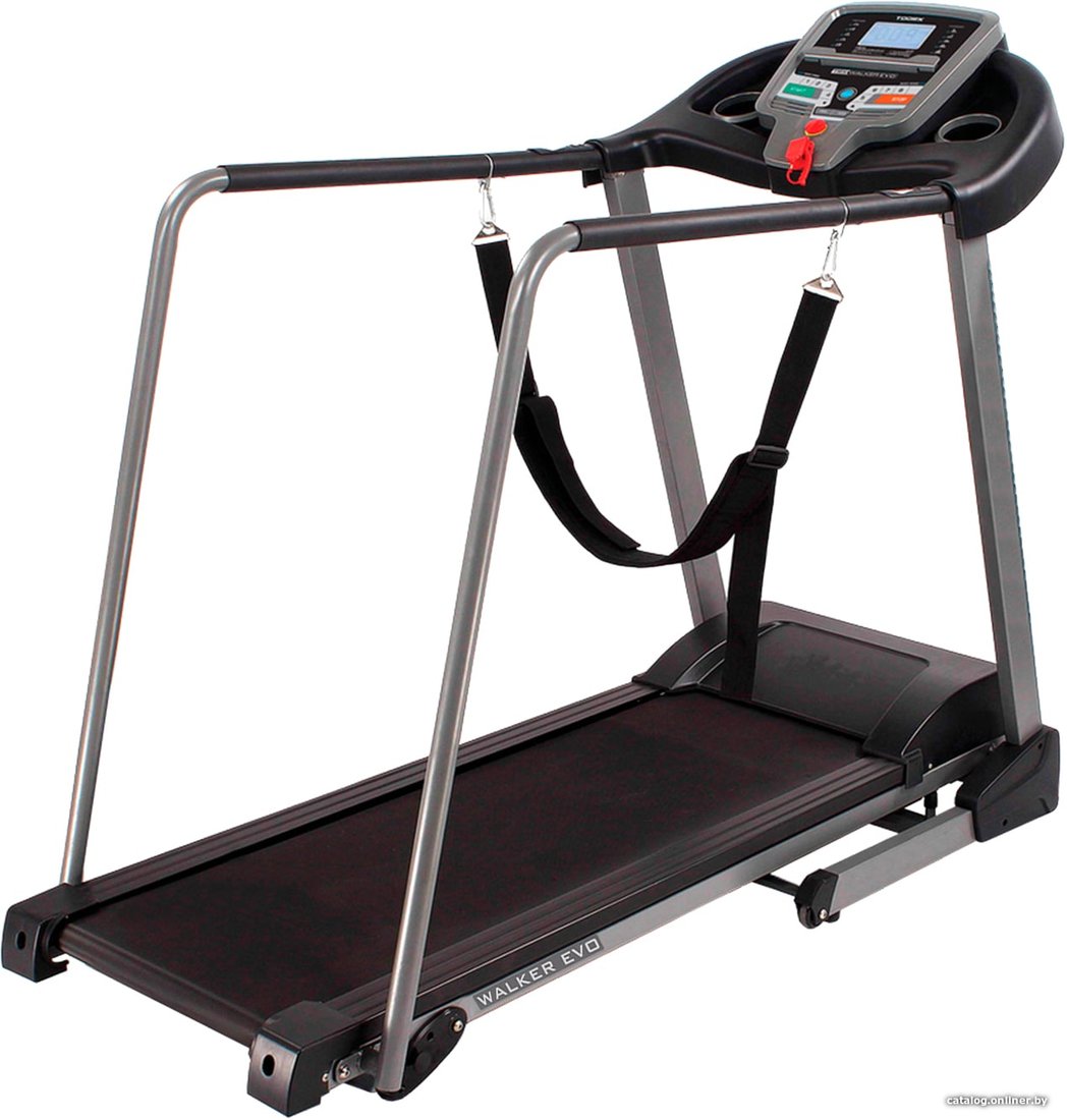 Электрическая беговая дорожка DFC Walker EVO T-S1