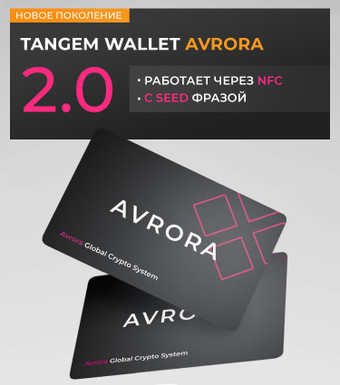 Аппаратный криптокошелек Tangem Tangem 2.0 Avrora (2 шт., черный)