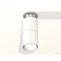 Припотолочная люстра Ambrella light Techno XS6301240 SWH/PSL