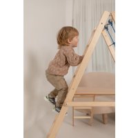 Детский спортивный комплекс Tigerwood Compact E-lite (богатый натуральный)