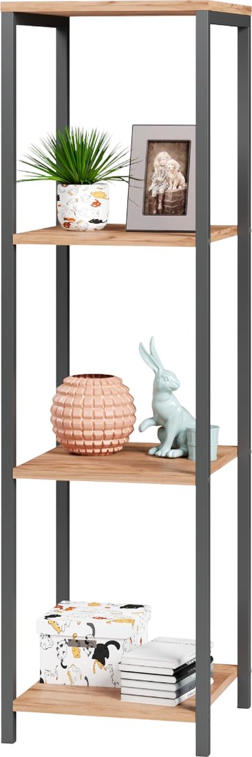 

Стеллаж Mio Tesoro Mini Joy Loft (дуб золотой крафт/черный)