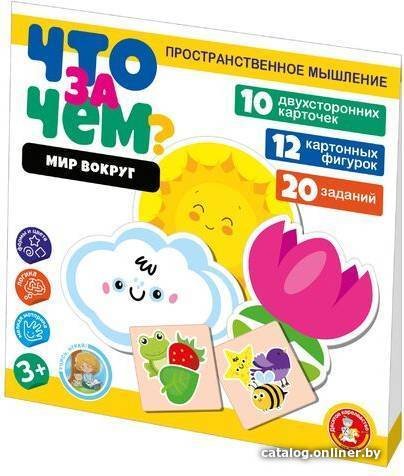 Развивающая игра Десятое королевство Что за чем? Мир вокруг 04699