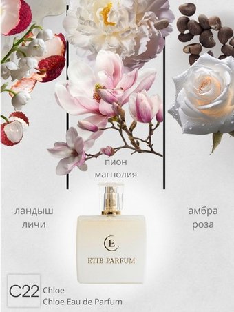 Туалетная вода ETIB Parfum аналоговый парфюм Chloe Chloe Eau de Parfum C22 EdP (100 мл)