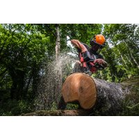 Аккумуляторная пила Milwaukee M18F2CHS50-802 4933480121 (с 2-мя АКБ)