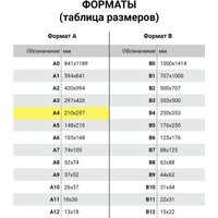 Набор информационных карманов BRAUBERG 224075