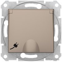 Розетка Schneider Electric Sedna SDN3100168