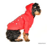 Свитер для животных Puppia Blitzen PATD-TS1754-RD-L (красный)