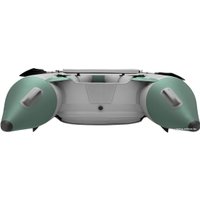 Моторная лодка Roger Boat Trofey 3100 (без киля, серый/зеленый)