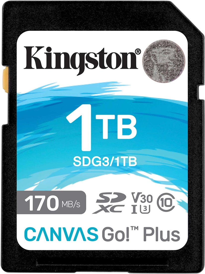 Карта памяти Kingston Canvas Go! Plus SDXC 1TB SDG3/1TB