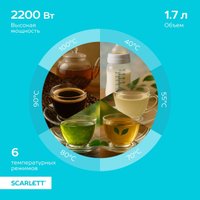 Электрический чайник Scarlett SC-EK21S66 в Бобруйске