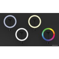 Кольцевая лампа Ritmix RRL-263