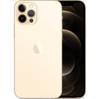 Смартфон Apple iPhone 12 Pro 128GB (золотой)