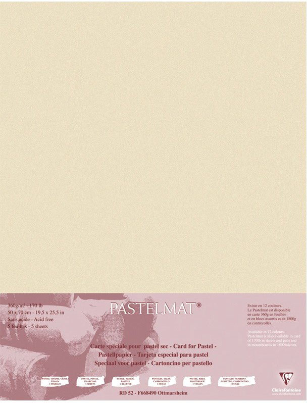 

Бумага для рисования Clairefontaine PastelMat 96166C (песочный)