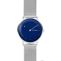 Наручные часы Skagen SKW6488